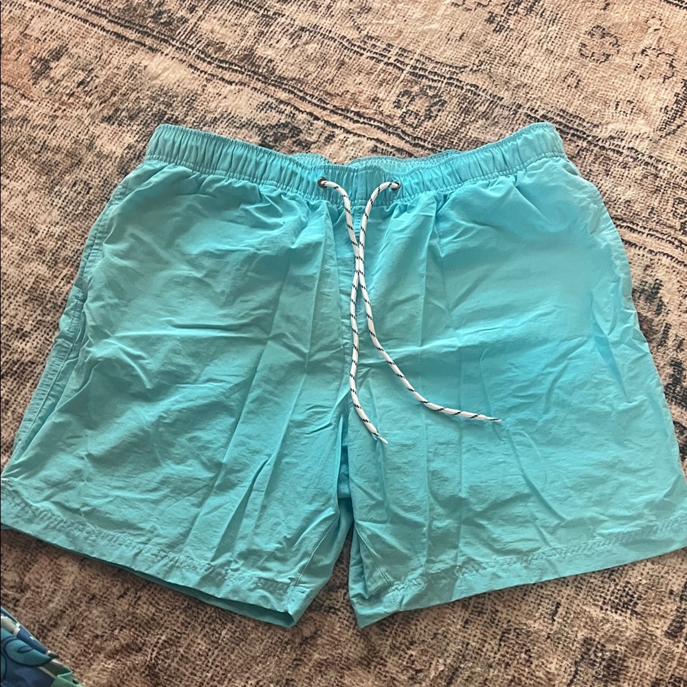 Roundtree & Yorke Aqua Swim Trunks